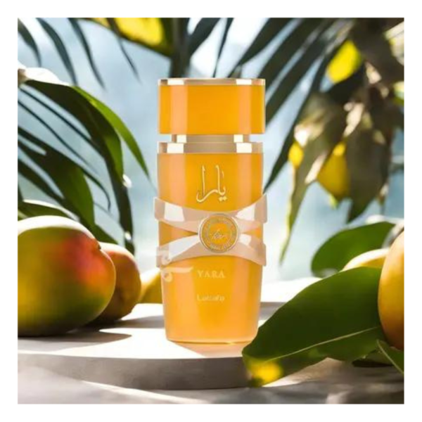 ARA TOUSLATTAFA Y feminino - 100ML - Image 3